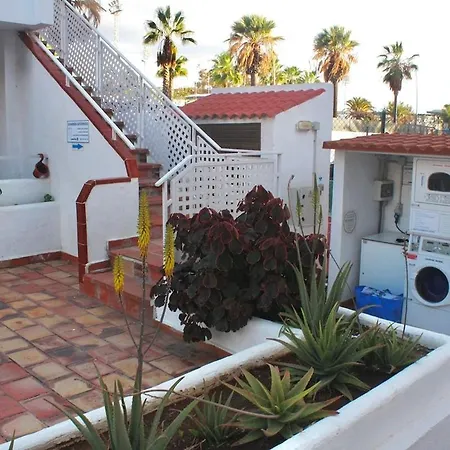 Floritas Pool And Terrace Americas *